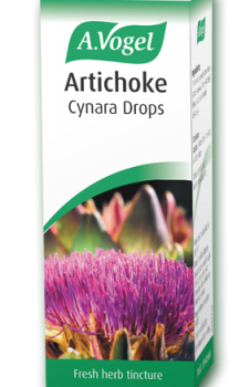 Artichoke (Cynara scolymus)