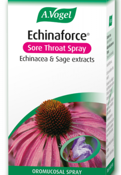 echinaforce throat spray
