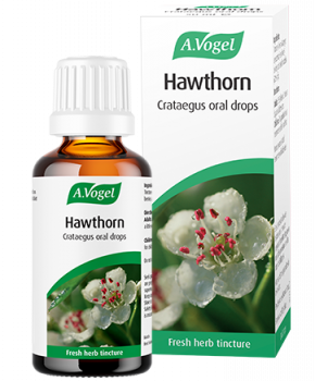 Hawthorn (Crataegus)