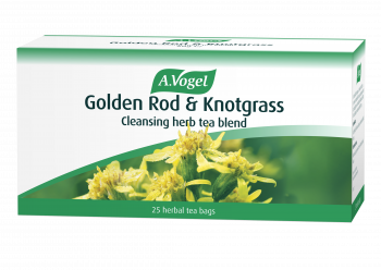 golden rod and knotgrass