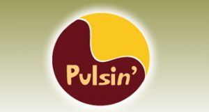Pulsin