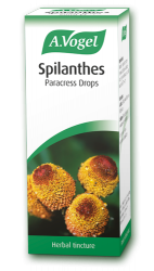 Spilanthes tincture  - 50ml