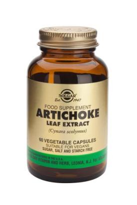 Artichoke Leaf Extract 60