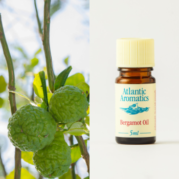 bergamot essential oil