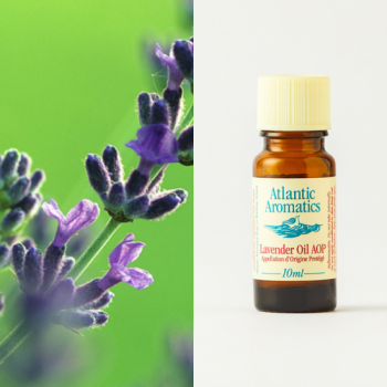 lavender aop