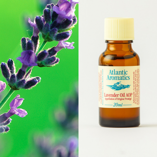 high altitude lavender oil