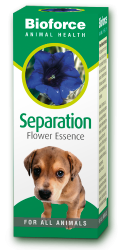Separation Essence (30ml)