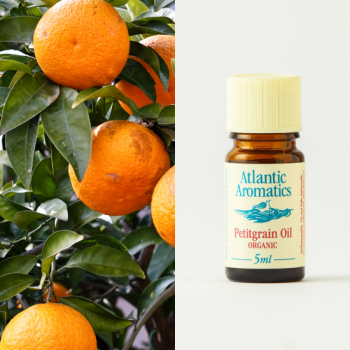 Petitgrain oil - organic 5ml