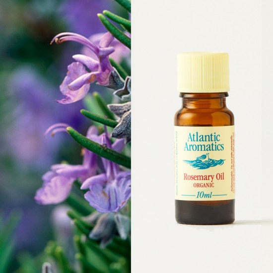 rosemary essential oil atlantic aromatics