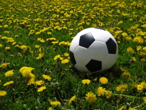 dandelions-and-soccer-ball-1330576-m