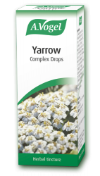 yarrow