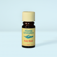Study Blend - aromatherapy oil