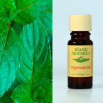 Peppermint oil - organic (10ml)
