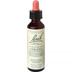 Cerato Flower Essence 20ml