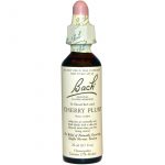 Cherry Plum Flower Essence 20ml