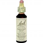 Chestnut Bud Flower Essence 20ml