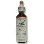 Elm Flower Essence 20ml
