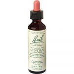 Gentian Flower Essence 20ml