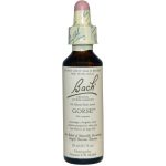 Gorse Flower Essence 20ml
