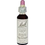 Larch Flower Essence 20ml