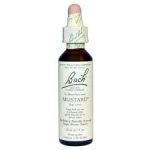 Mustard Flower Essence 20ml