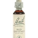 Red Chestnut Flower Essence 20ml