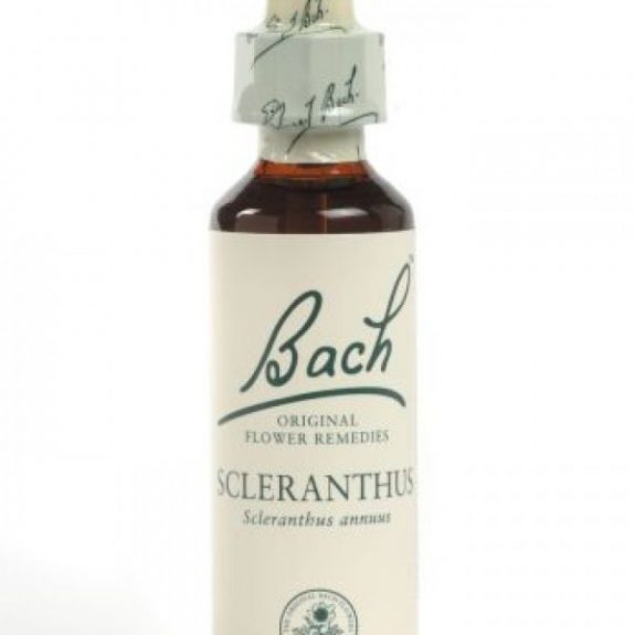Scleranthus Flower Essence 20ml New leaf Health Store