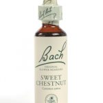Sweet Chestnut Flower Essence 20ml