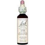 Vine Flower Essence 20ml