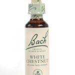 White Chestnut Flower Essence 20ml