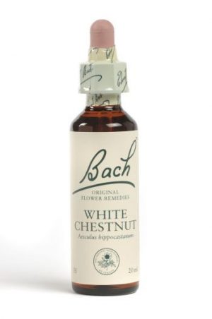 White Chestnut Flower Essence 20ml