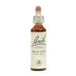 Wild Oat Flower Essence 20ml