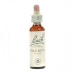Wild Rose Flower Essence 20ml