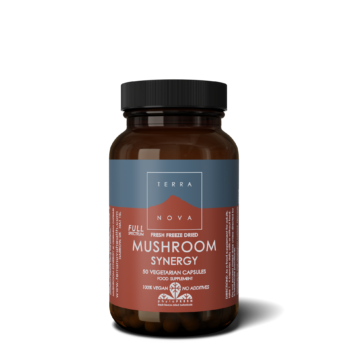 mushroom synergy