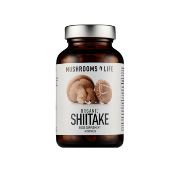 shiitake