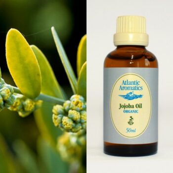 jojoba oil